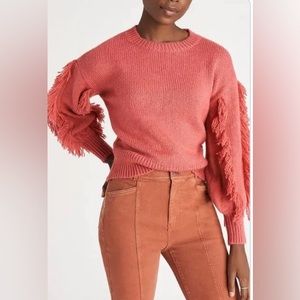 Ann Taylor Fringe Sleeve Sweater. Worn once.